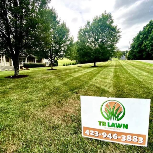 Freshly striped lawn with a TB Lawn & Landscape yard sign in the foreground